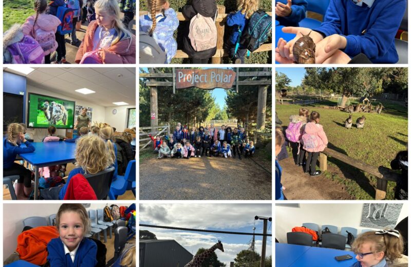 KS1 visit the Yorkshire Wildlife Park