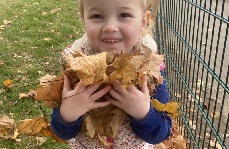 Autumn Time