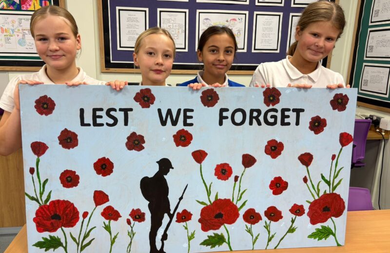 Poppy Artwork Y6B