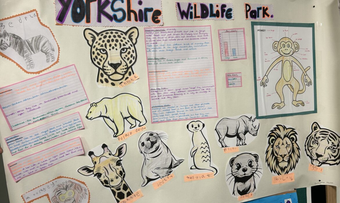 Home Learning in 1/2B!