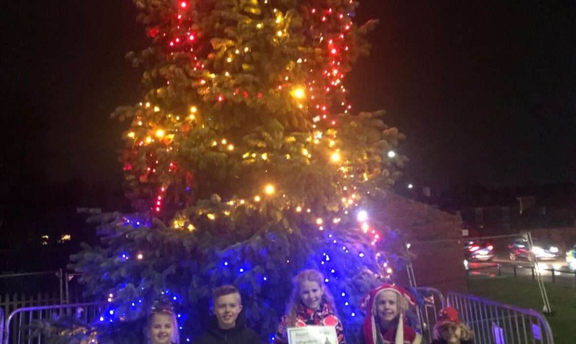 Alex and Elsie-Mae light switch on