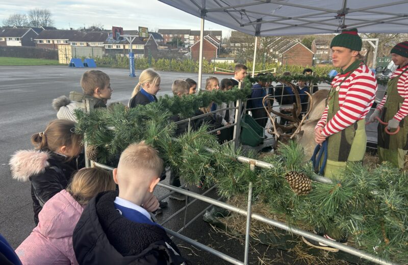 Meeting the reindeers – 3T