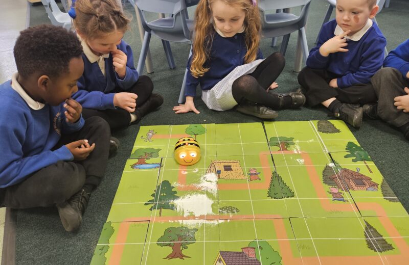 ICT – Beebots