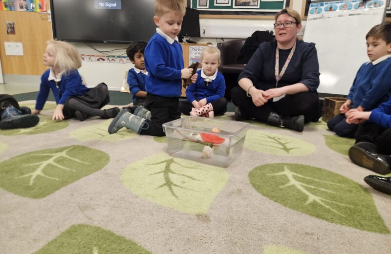 F1/2- exploring sinking and floating.