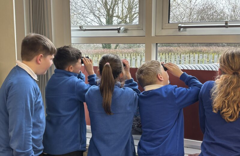 6B complete the RSPB Big Garden Birdwatch