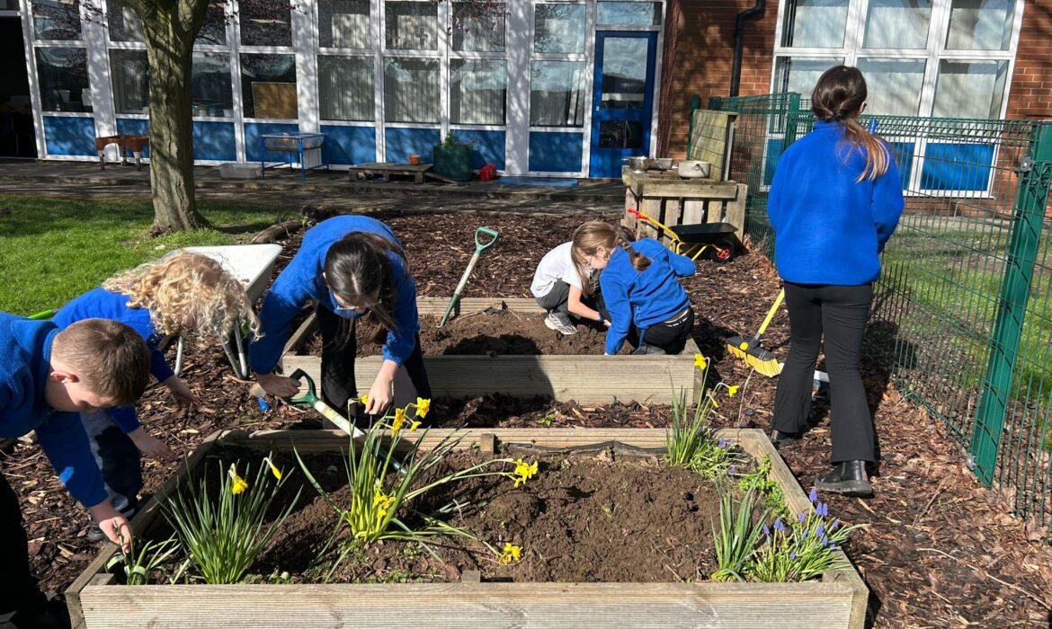 Spring Time planting