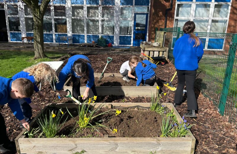 Spring Time planting