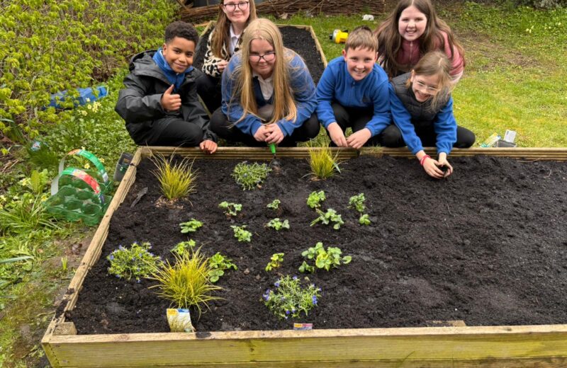 Y4/5WH get planting underway π±