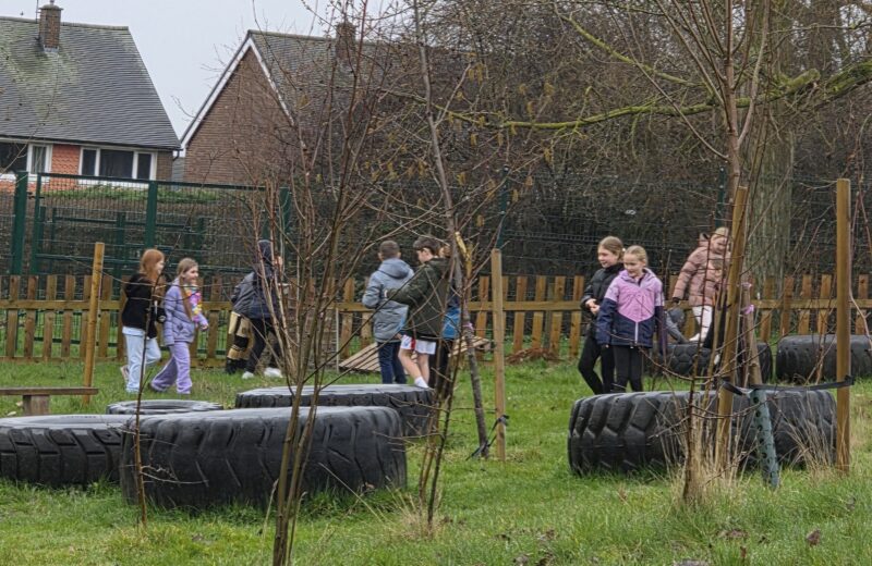 Y5/6D Forest School