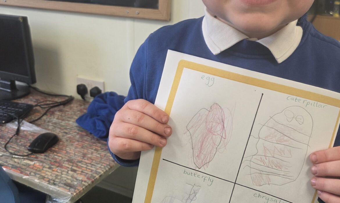 F1/2- Science week
