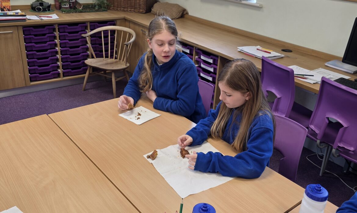 Y5/6D DT Woolton Pie and Carrot Cake Taste Testing