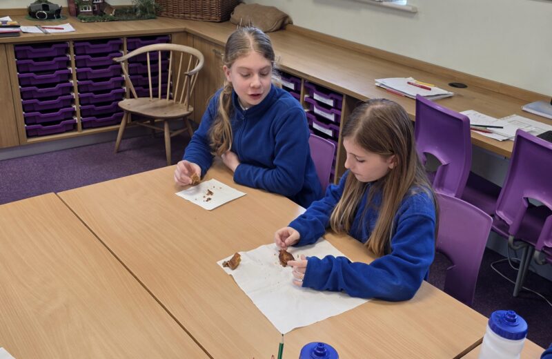 Y5/6D DT Woolton Pie and Carrot Cake Taste Testing