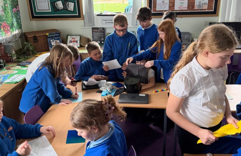 Y5/6D Blackout Investigation