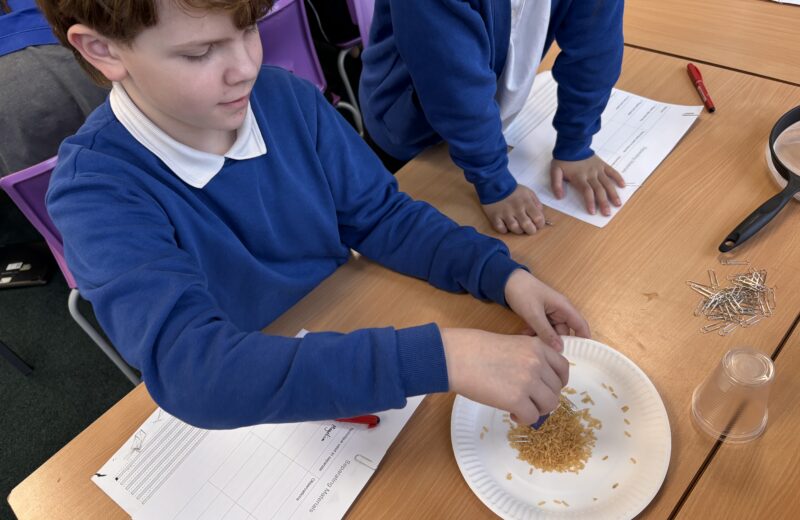 4/5WH – Science Week