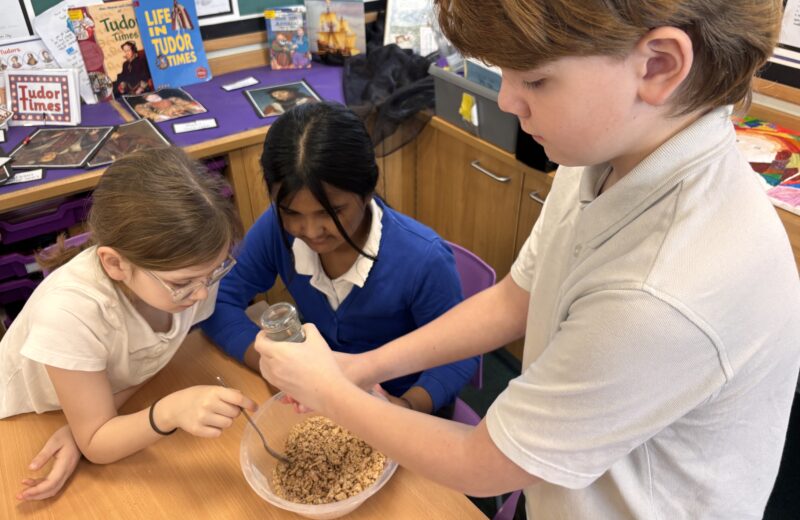 4/5WH DT Modern Gingerbread