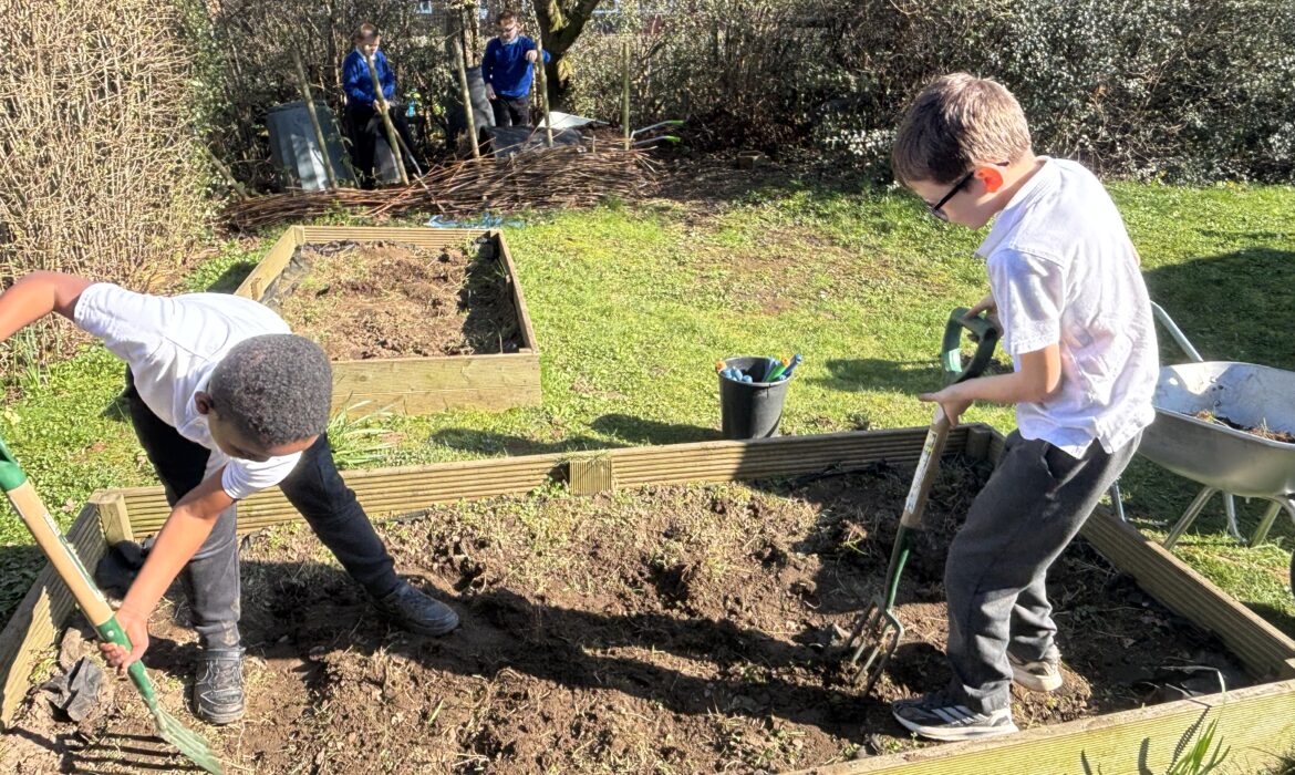 Preparing the planters for spring/summer