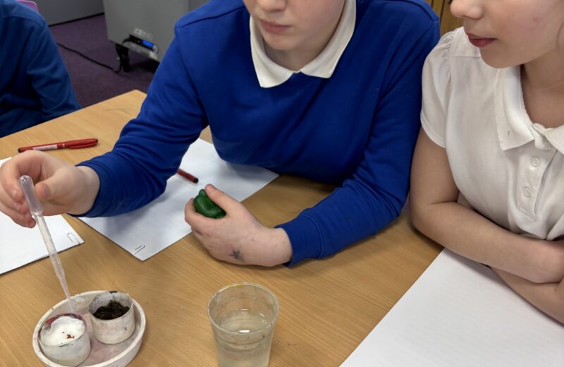Science Week in 6B