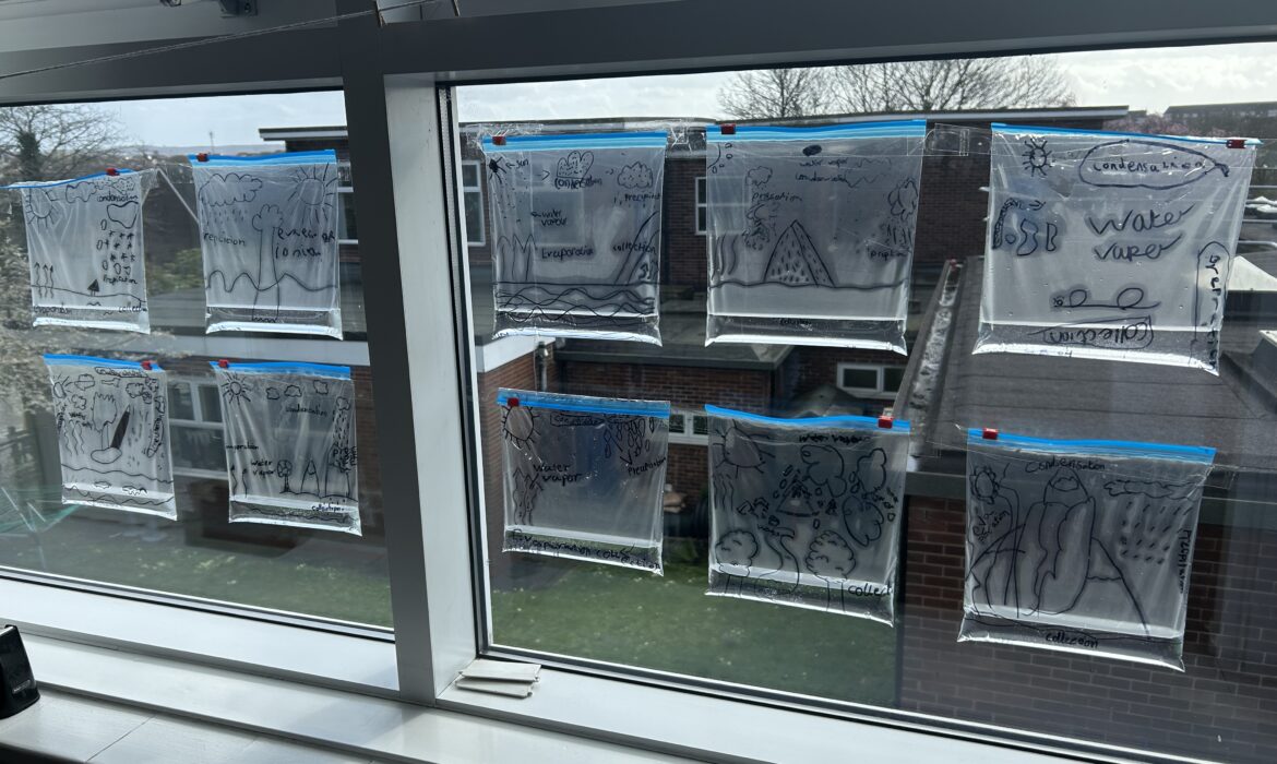 3T The Water Cycle Investigation