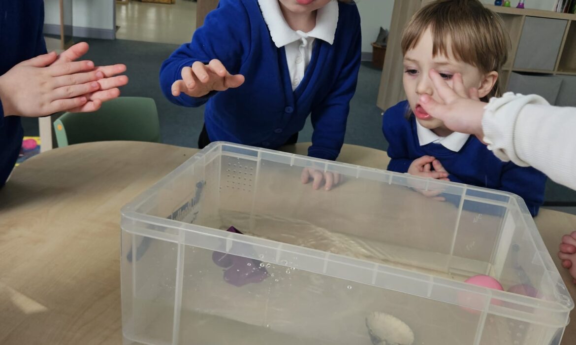 Science Week