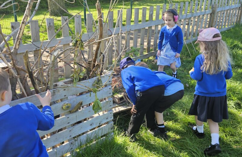 Forest school – Bug hotels