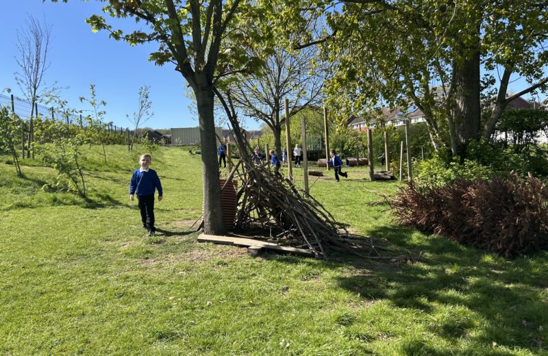 Forest School Fun in 1/2B
