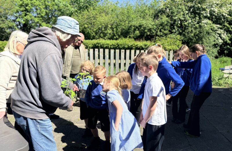Friends of Greasbrough Park Visit