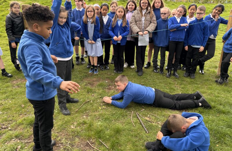 4/5WH Science Life Cycles
