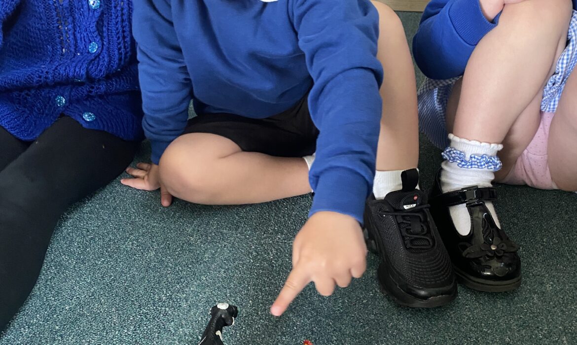 Early Maths: One More