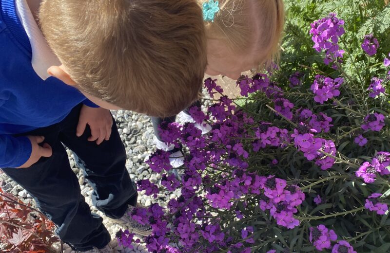 Exploring the Sensory Garden