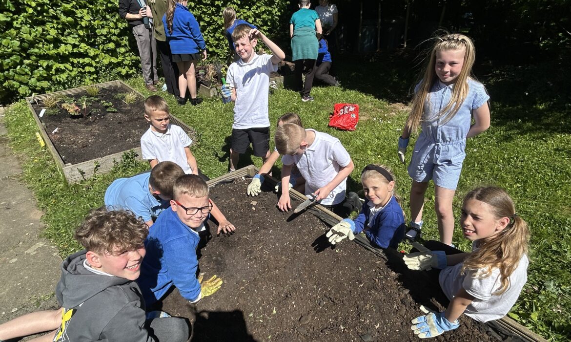 3/4P and 3T get ready to plant!🌱
