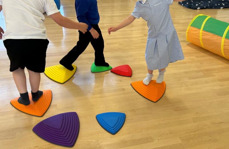 Sensory Circuits