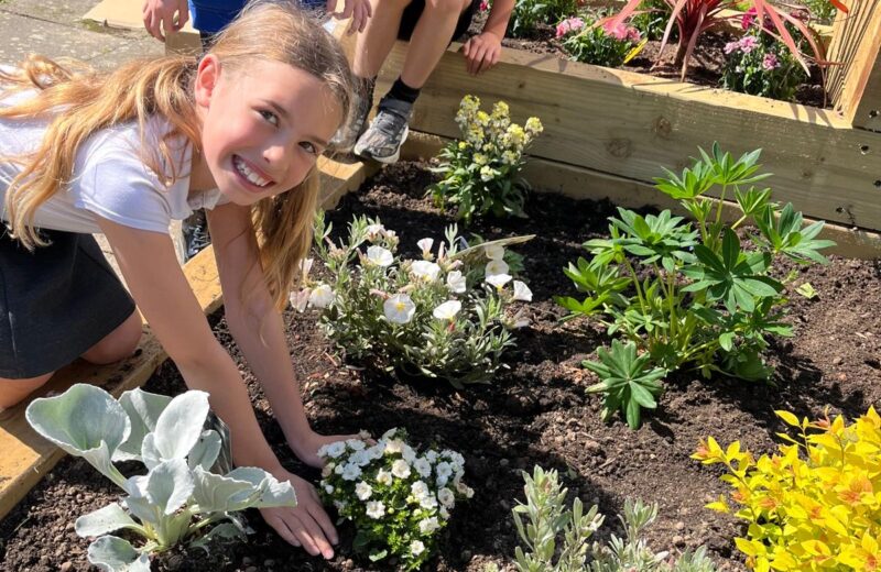 Let the planting commence 🌱