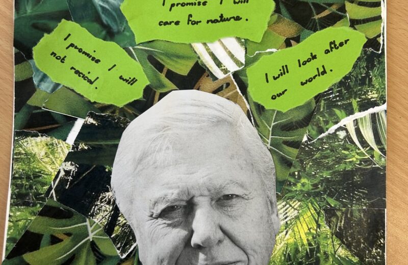 3T celebrate Sir David turning 100!🎉