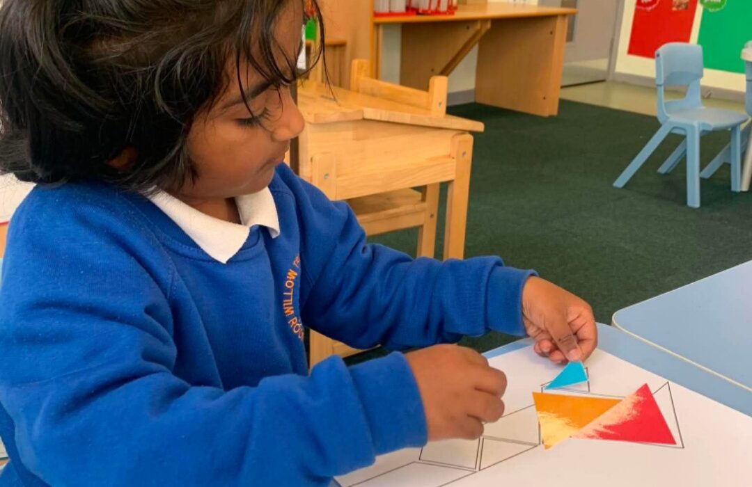 Maths – insect tangrams