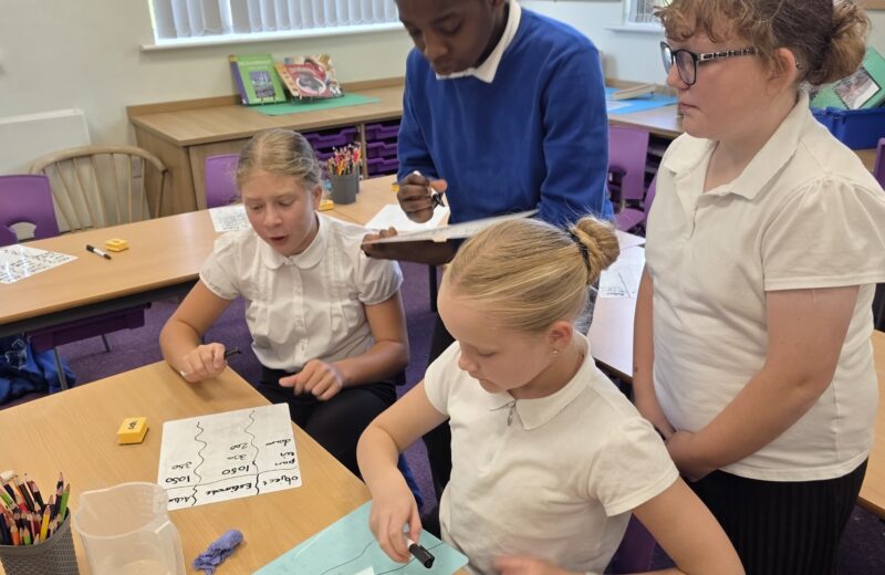 Y5/6D Estimating Capacity