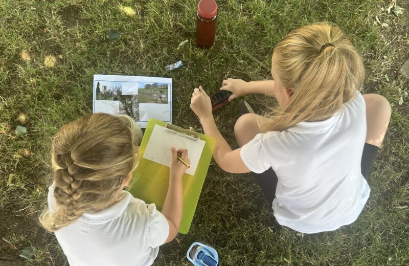 3T – Artwork in the shade🎨
